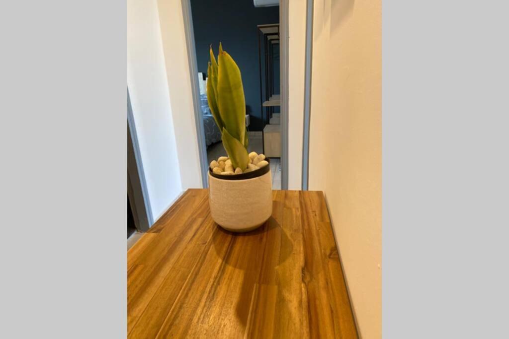 Appartement « L'Escale » à Le Port Extérieur photo